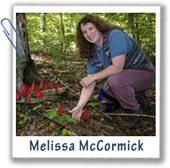 Melissa McCormick