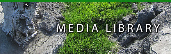 Media Library