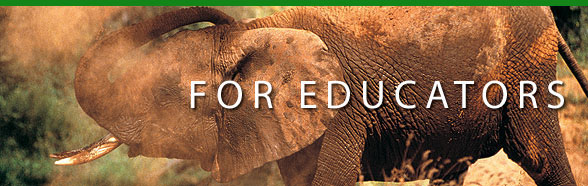 For Educators