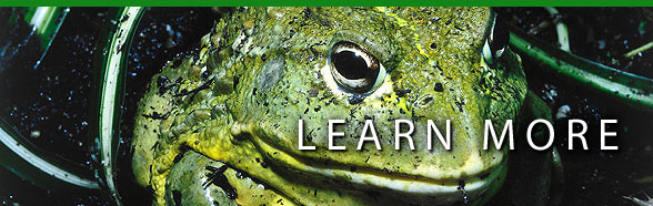 Learn More