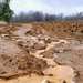 Get Soil Savvy!