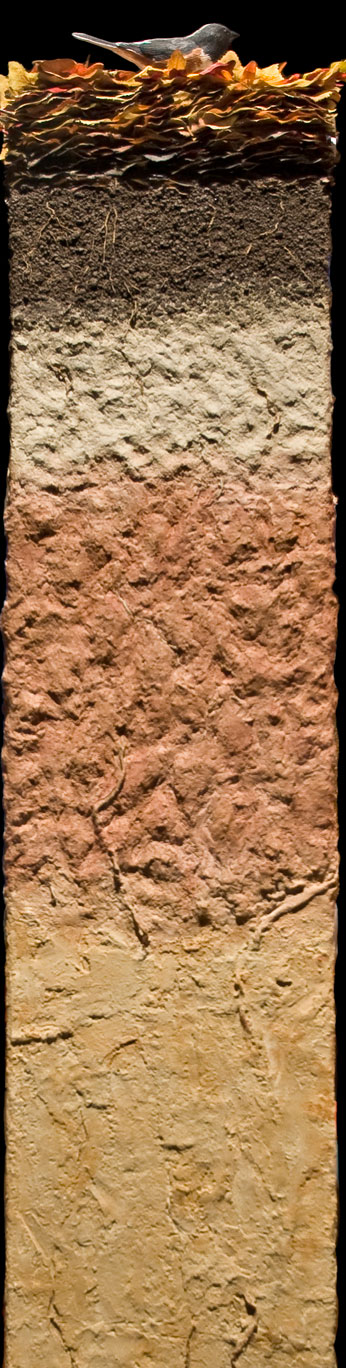 Touchable model from Dig It! Smithsonian Institution