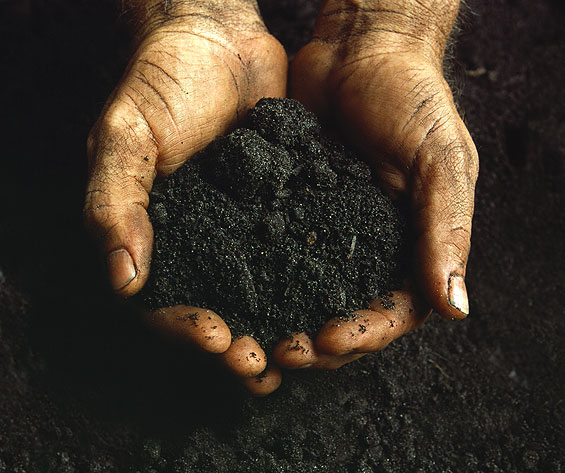 Farm soil