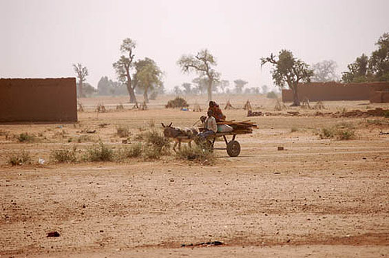 Poor soils contribute to extreme poverty