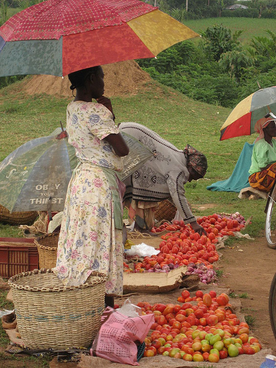 If villagers can grow enough to eat and sell, they can sustain their own farms