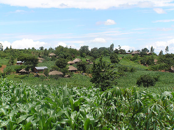 Harvests in three villages have more than doubled