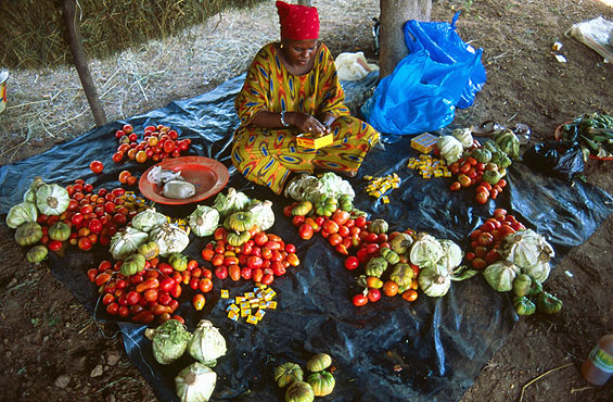 Sustainably farmed produce in Africa