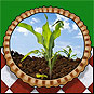 Soil Ingredients