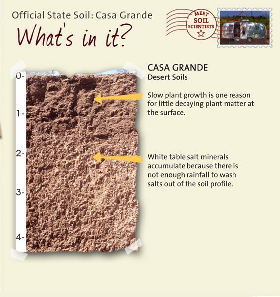 Official State Soil: Casa Grande 
April 6th 

This is a photo of the layers that make up a Casa Grande soil profile. Casa Grande: Desert Soils. Layer 1: Slow plant growth is one reason for a little decaying plant matter at the surface. Layer 2: White table salt minerals accumulate because there is not enough rainfall to wash salts out of the soil profile.
