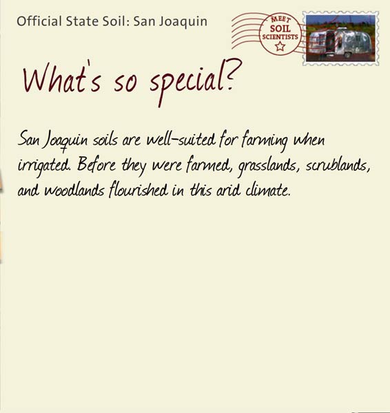 Official State Soil: San Joaquin 
July 6th 


San Joaquin soils are well-suited for farming when irrigated. Before they were farmed, grasslands, scrublands, and woodlands flourished in this arid climate. 
