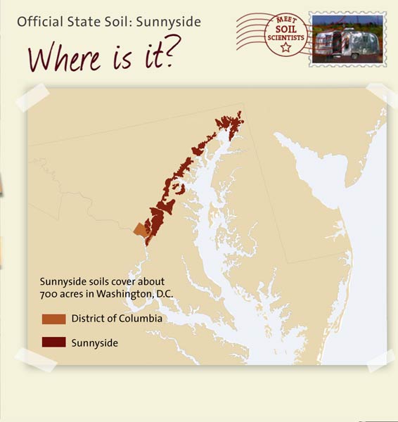 Official State Soil: Sunnyside 
April 25th 

This is a map of the District of Columbia showing the location of Sunnyside soils. Sunnyside soils cover about 700 acres in Washington, D.C.