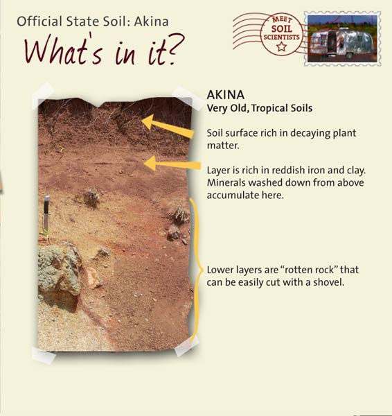 Official State Soil: Akina 
July 21st 

This is a photo of the layers that make up an Akina soil profile. Akina: Very Old, Tropical Soils. Layer 1: Soil surface rich in decaying plant matter. Layer 2: Layer is rich in reddish iron and clay. Minerals washed down from above accumulate here. Layer 3: Lower layers are "rotten rock" that can be easily cut with a shovel.