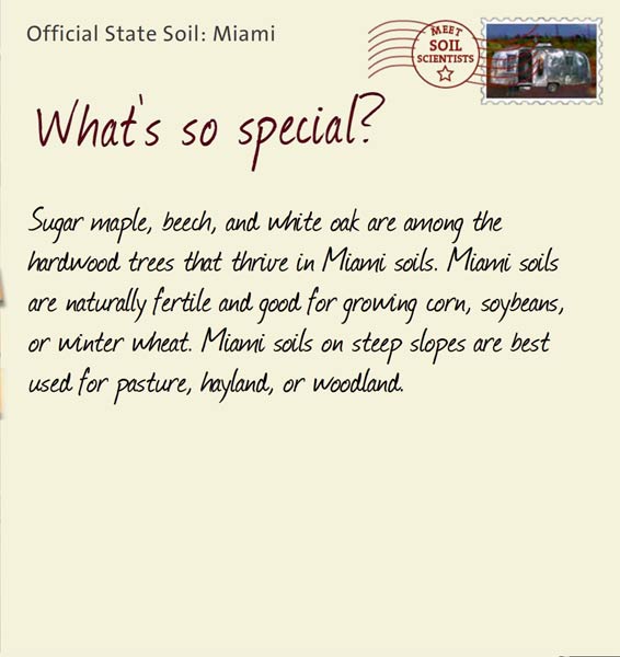 Official State Soil: Miami 
March 26th 


Sugar maple, beech, and white oak are among the hardwood trees that thrive in Miami soils. Miami soils are naturally fertile and good for growing corn, soybeans, or winter wheat. Miami soils on steep slopes are best used for pasture, hayland, or woodland. 
