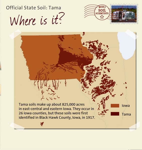 Official State Soil: Tama 
June 22nd 

This is a map of Iowa showing the location of Tama soils. Tama soils make up about 825,000 acres in east-central and eastern Iowa. They occur in 26 Iowa counties, but these soils were first identified in Black Hawk County, Iowa, in 1917.