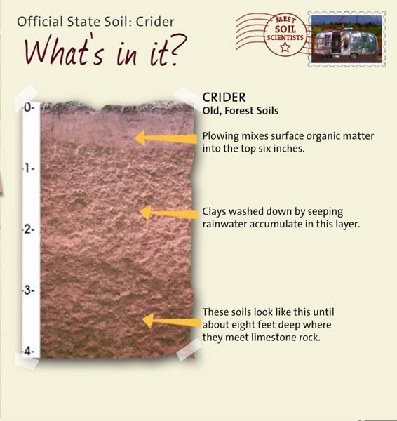 Official State Soil: Crider 
May 1st 

This is a photo of the layers that make up a Crider soil profile. Crider: Old, Forest Soils. Layer 1: Plowing mixes surface organic matter into the top six inches. Layer 2: Clays washed down by seeping rainwater accumulate in this layer. Layer 3: These soils look like this until about eight feet deep where they meet the limestone rock.