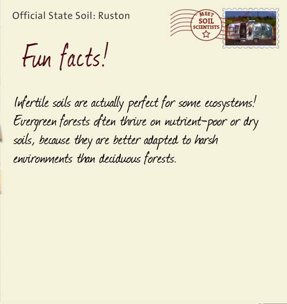 Official State Soil: Ruston 
April 13th 


Infertile soils are actually perfect for some ecosystems! Evergreen forests often thrive on nutrient-poor or dry soils, because they are better adapted to harsh environments than deciduous forests.
