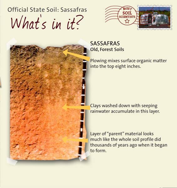 Official State Soil: Sassafras 
August 12th 

This is a photo of the layers that make up a Bama soil profile. Sassafras: Old, Forest Soils. Layer 1: Plowing mixes surface organic matter into the top eight inches. Layer 2: Clays washed down with seeping rainwater accumulate in this layer. Layer 3: Layer of "parent" material looks much like the whole soil profile did thousands of years ago when it began to form.
