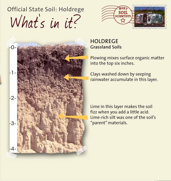 Official State Soil: Holdrege 
September 13th 

This is a photo of the layers that make up a Holdrege soil profile. Holdrege: Grassland Soils. Layer 1: Plowing mixes surface organic matter into the top six inches. Layer 2: Clays washed down by seeping rainwater accumulate in this layer. Layer 3: Lime in this layer makes the soil fizz when you add a little acid. Lime-rich silt was one of the soil's "parent" materials.