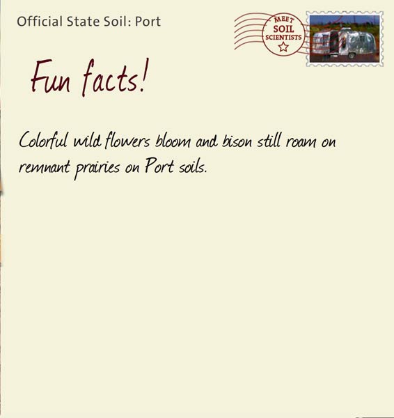 Official State Soil: Port 
February 28th 


Colorful wild flowers bloom and bison still roam on remnant prairies on Port soils.
