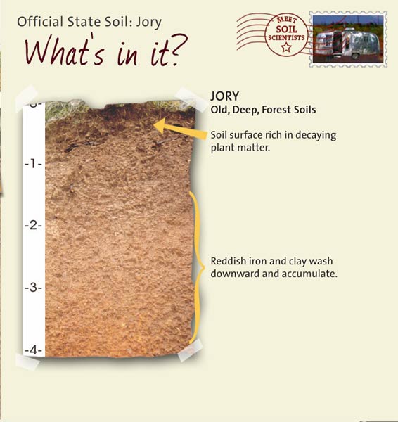 Official State Soil: Jory 
May 7th 

This is a photo of the layers that make up a Jory soil profile. Jory: Old, Deep, Forest Soils. Layer 1: Soil surface rich in decaying plant matter. Layer 2: Reddish iron and clay wash downward and accumulate.