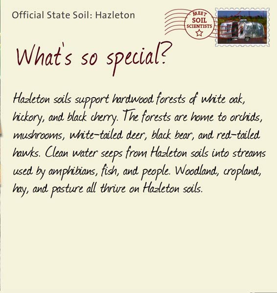 Official State Soil: Hazleton 
July 28th 


Hazleton soils support hardwood forests of white oak, hickory, and black cherry. The forests are home to orchids, mushrooms, white-tailed deer, black bear, and red-tailed hawks. Clean water seeps from Hazleton soils into streams used by amphibians, fish, and people. Woodland, cropland, hay, and pasture all thrive on Hazleton soils.
