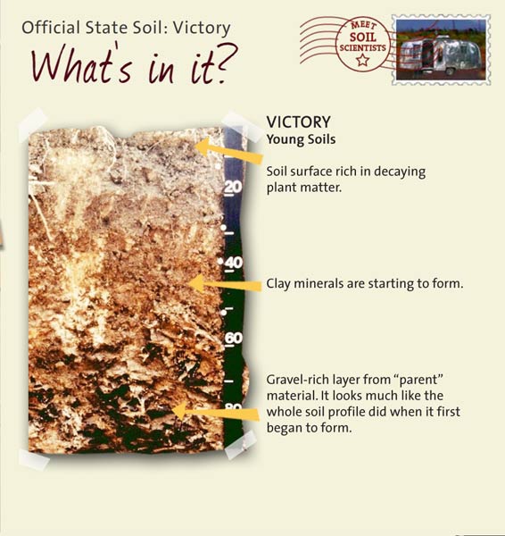 Official State Soil: Victory 
February 25th 

This is a photo of the layers that make up a Victory soil profile. Victory: Young Soils. Layer 1: Soil surface rich in decaying plant matter. Layer 2: Clay minerals are starting to form. Layer 3: Gravel-rich layer from "parent" material. It looks much like the whole soil profile did when it first began to form.