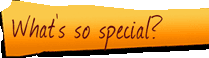 Whats so special Selection