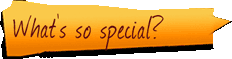 Whats so special Selection