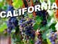 California