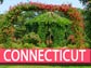 Connecticut