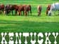 Kentucky