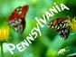 Pennsylvania