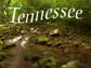 Tennessee