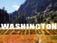 Washington