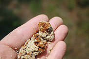 Sandy soil texture