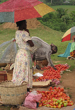 If villagers can grow enough to eat and sell, they can sustain their own farms.