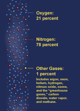 The Air We Breathe - 6 Facts