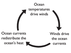 Ocean currents redistribute the ocean's heat, Ocean temperatures drive winds, Winds drive the ocean currents