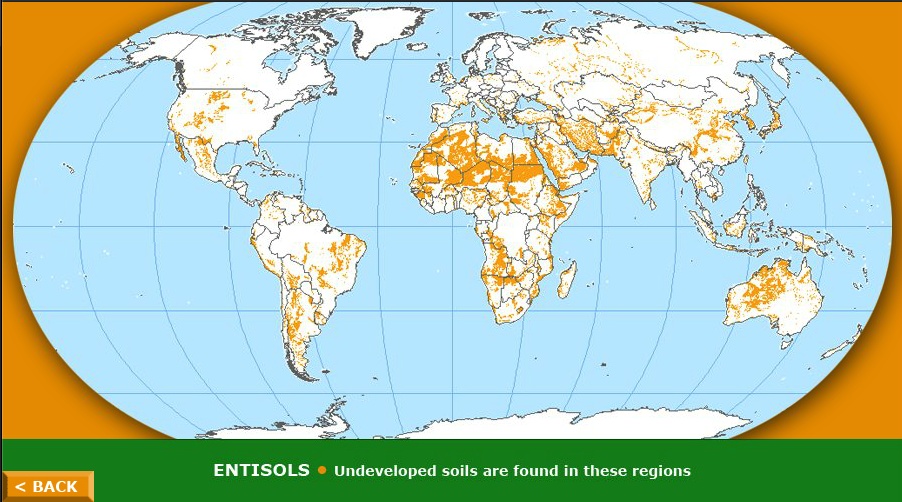 entisols map