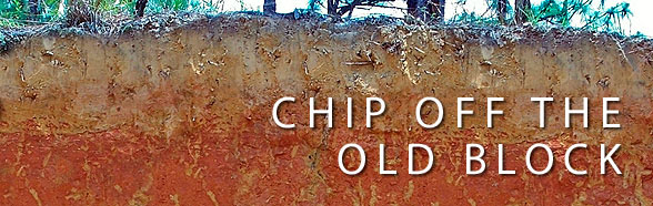 chip-off-the-old-block