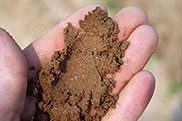 Loamy soil texture