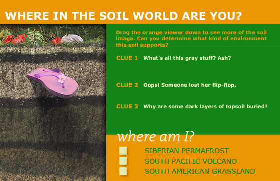 Where in the Soil World Are You?