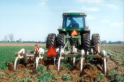 Plowing under a clover cover crop