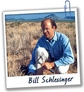 Bill Schlesinger