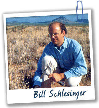 Bill Schlesinger