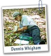 Dennis Whigham