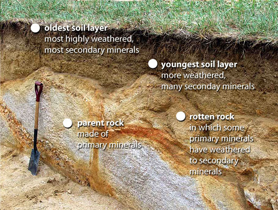 Parent rock magnified 100 times