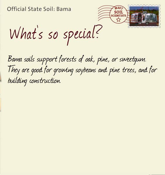 Official State Soil: Bama 
July 4th 


Bama soils support forests of oak, pine, or sweetgum. They are good for growing soybeans and pine trees, and for building construction.
