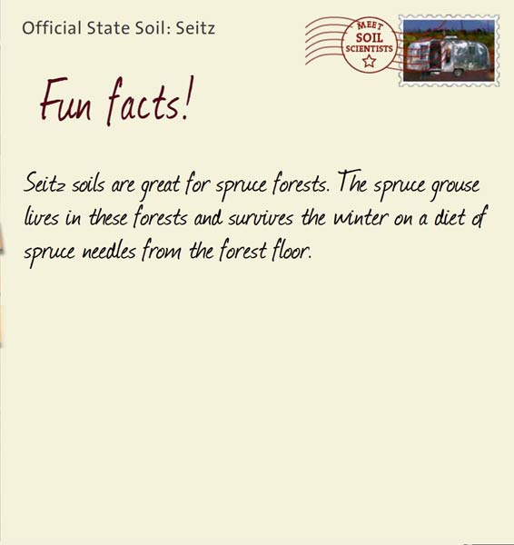 Official State Soil: Seitz 
August 1st 


Seitz soils are great for spruce forests. The spruce grouse lives in these forests and survives the winter on a diet of spruce needles from the forest floor.

