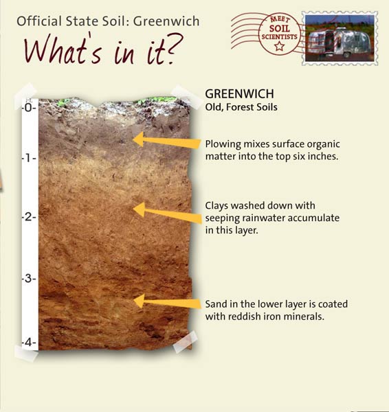 Official State Soil: Greenwich 
October 23rd 

This is a photo of the layers that make up a Greenwich soil profile. Layer 1: Plowing mixes surface organic matter into the top six inches. Layer 2: Clays washed down with seeping rainwater accumulate in this layer. Layer 3: Sand in the lower layer is coated with reddish iron minerals.